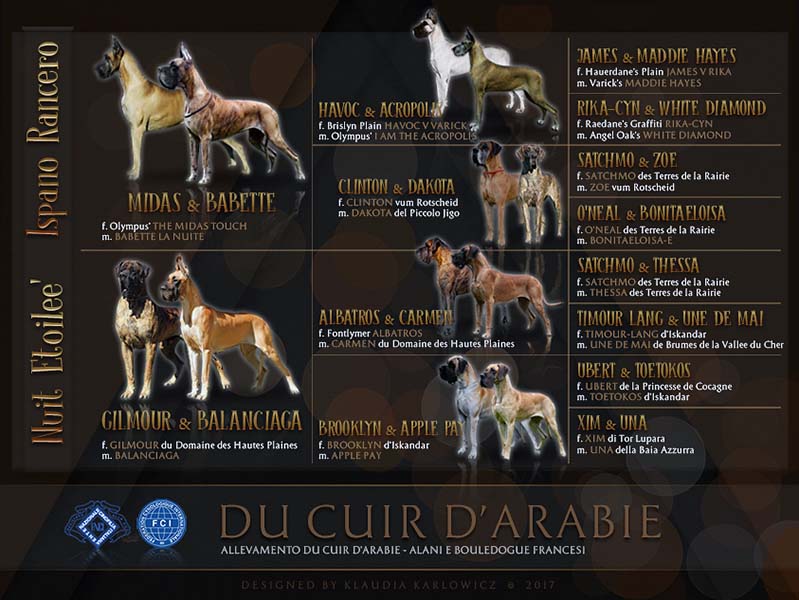 Pedigree cucciolata alano fulvo