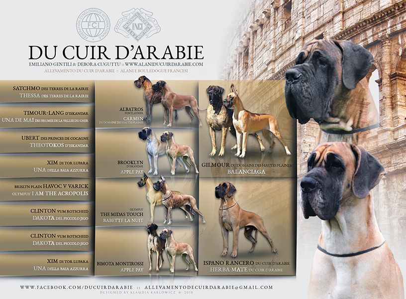 Pedigree cucciolata alano fulvo
