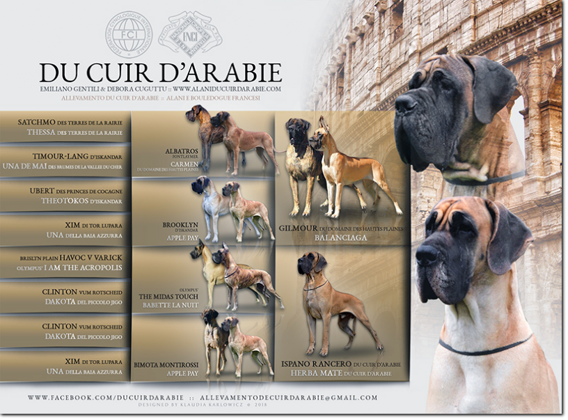 Pedigree Intense Sunrise du Cuir d'Arabie