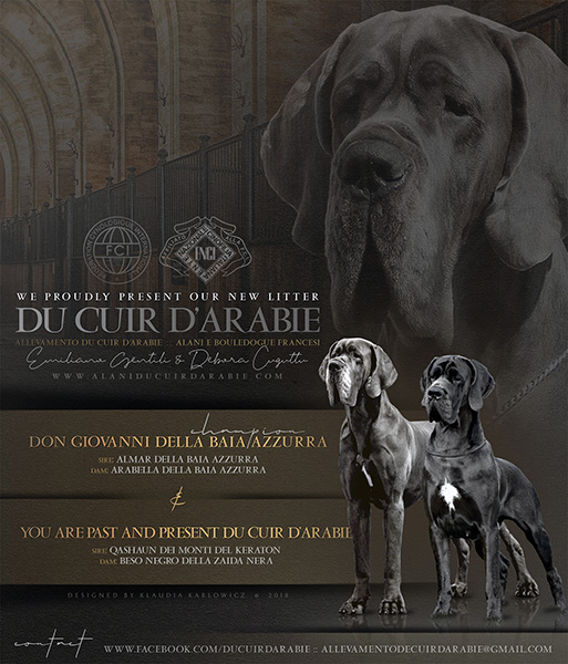 Cucciolata alani P 2018
