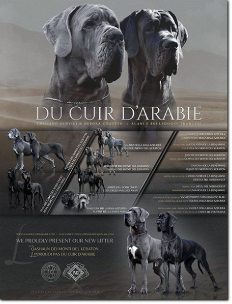 Pedigree La Vie Est Tout Autre Choix du Cuir d'Arabie