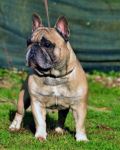 Duncan