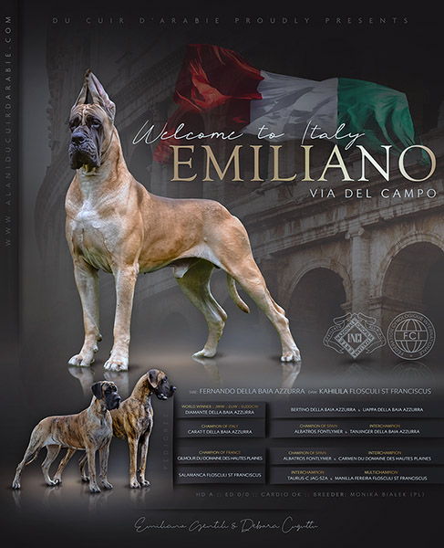 Pedigree Emiliano via del Campo