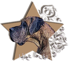 Logo Allevamento du Cuir d'Arabie