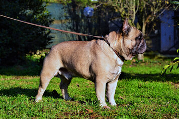 DSC_5158.JPG