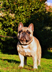 DSC_5168.JPG