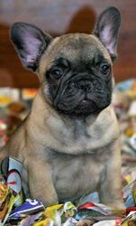 DSC_0914.JPG