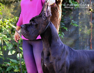 DSC_0610Copia.JPG