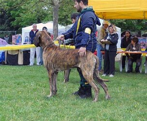 Arthù_Re2.jpg