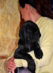 DSC_0109 (2).JPG