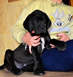 DSC_0124 (4).JPG