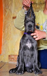 DSC_0158-2.JPG