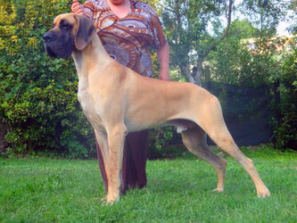 Ispano-Rancero13.jpg