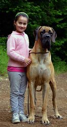 DSC_0907.JPG