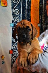 DSC_5425.JPG