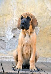 DSC_3301.JPG